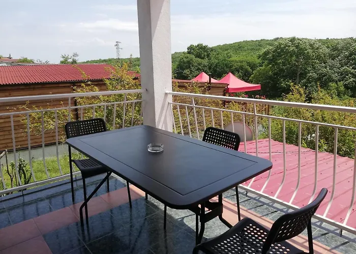 фани Guest house Sinemoretz