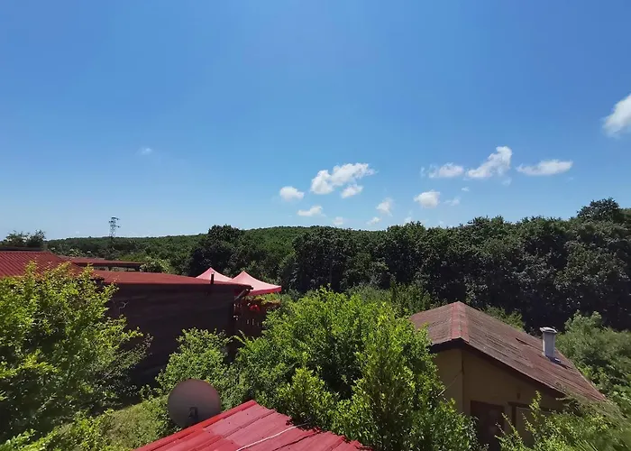 Guest house фани