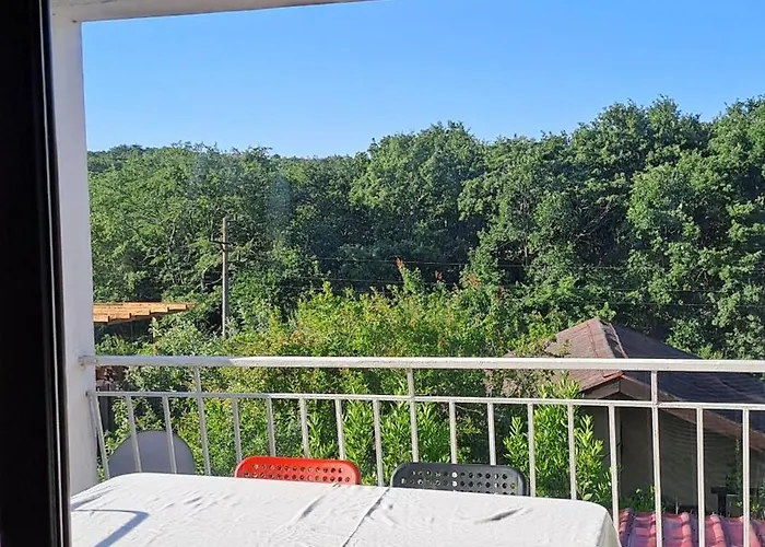 Guest house фани 3*