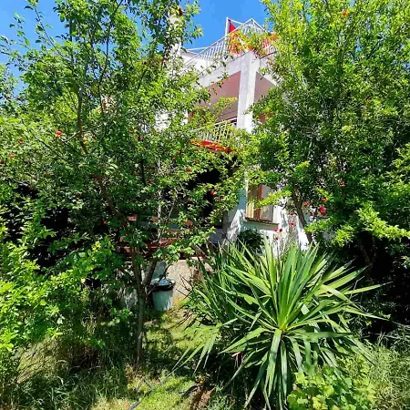 Pensionat фани Sinemoretz