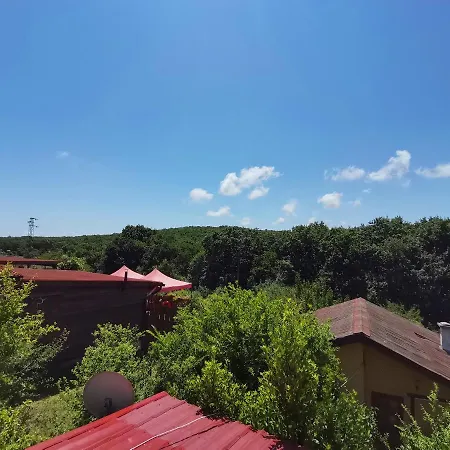 Guest house фани