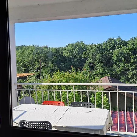 Guest house фани *