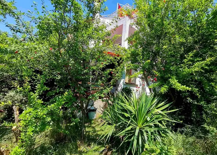 Vendégház фани Szinemorec